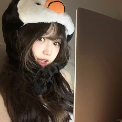 美人记·昭君